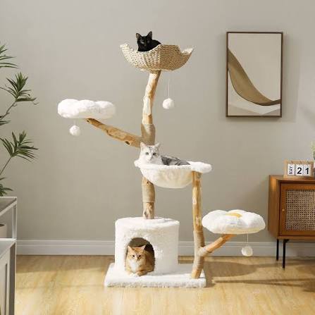 Cat Trees