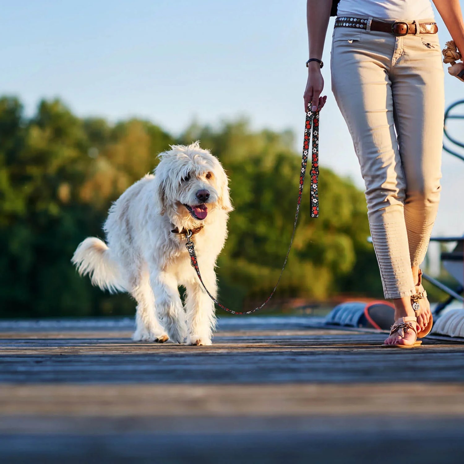 Leashes