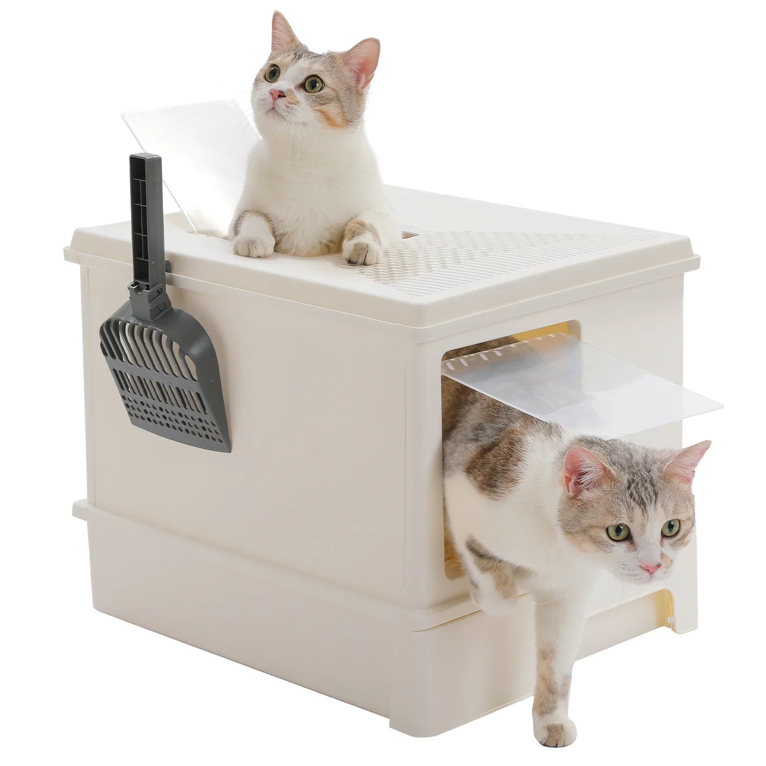 Litter Box