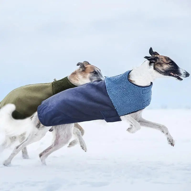 Dog Winter Warm Windproof Adjustable Lamb Fleece Jacket Thick Cotton Coat S M L XL Beige Brown Blue Army Green