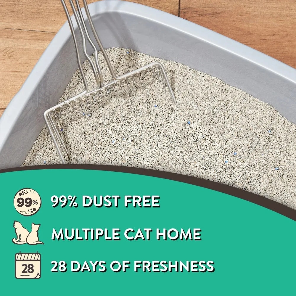4-Pack Special Kitty Clumping Clay Cat Litter Fresh Scent 20lbs Jug Odor Control Fast Clumping Cat Sand for All Cats