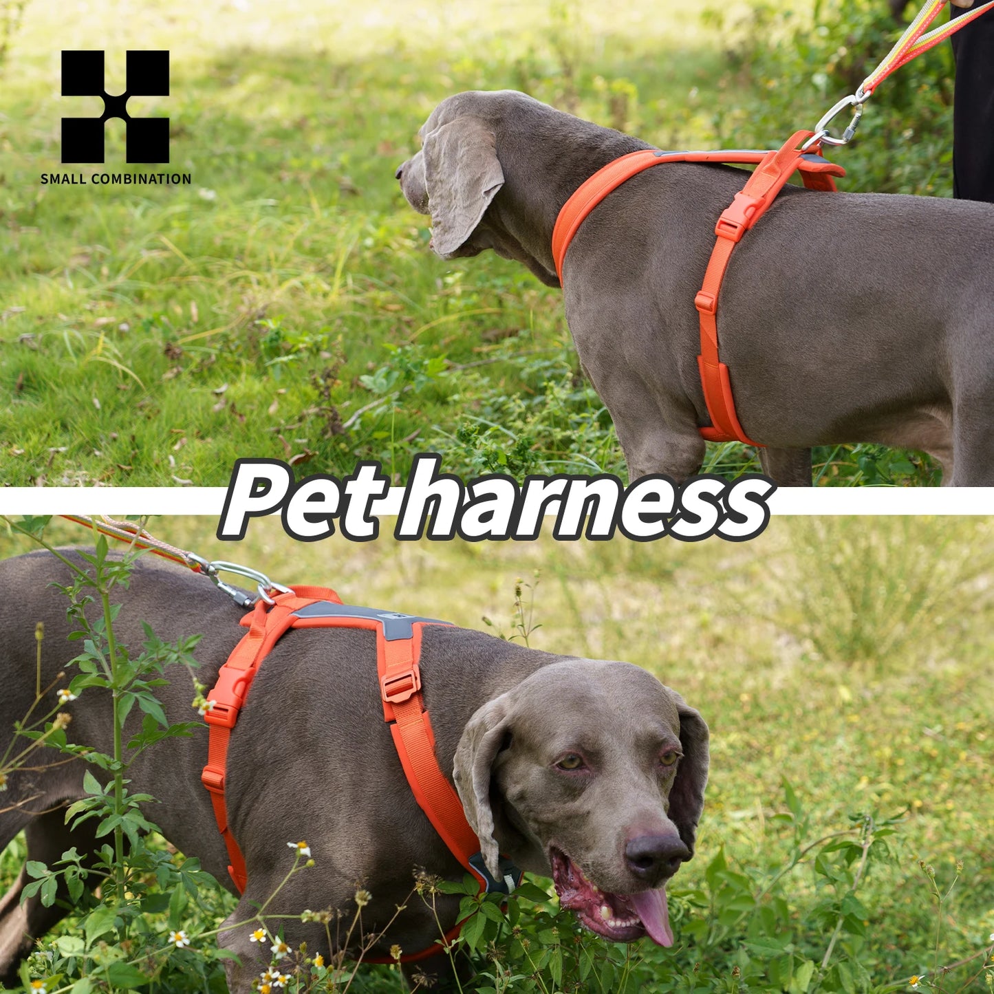 SMALL COMBINATION Dog Harness for Small Medium Large Dogs No Pull Reflective Dog Harness Adjustable Comfortable Outdoor Walking