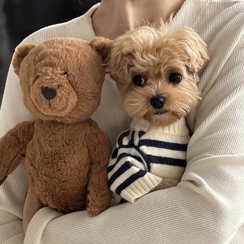ZUJOLY Cute Bear Dog Sweater Striped Knitted Warm Pullover for Chihuahua Dachshund Puppy Autumn Winter