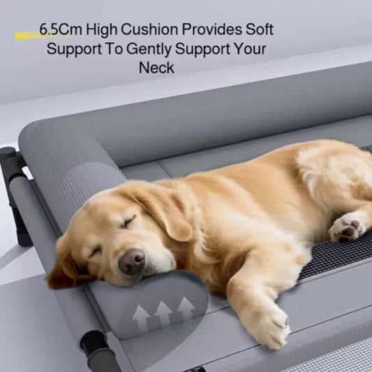New Cooling Dog Cot Bed with Pillow Breathable Mesh Washable Pet Furniture for Outdoor Indoor Camping Patio Sunbathing