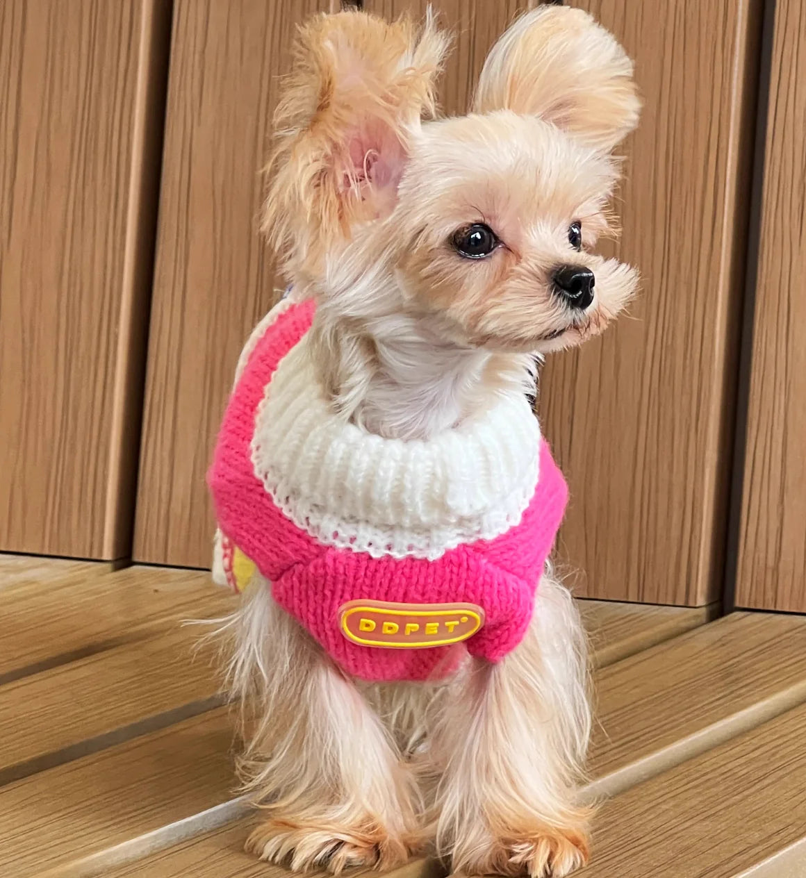 Cute French Fries Printed Soft Cotton Pet Sweater High Quality Design Dog Jacket Small Animal Clothing for Cats