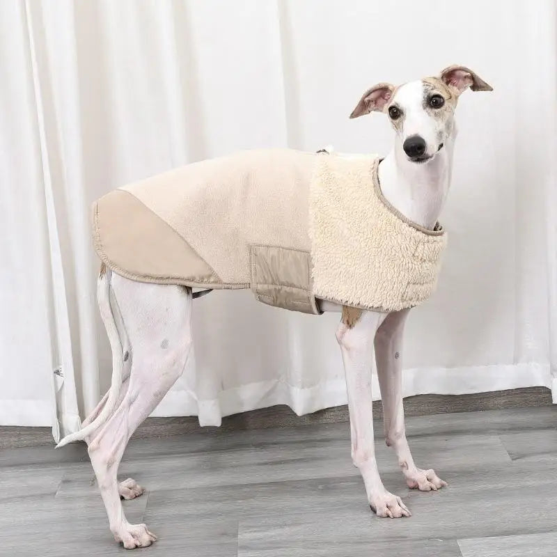 Dog Winter Warm Windproof Adjustable Lamb Fleece Jacket Thick Cotton Coat S M L XL Beige Brown Blue Army Green