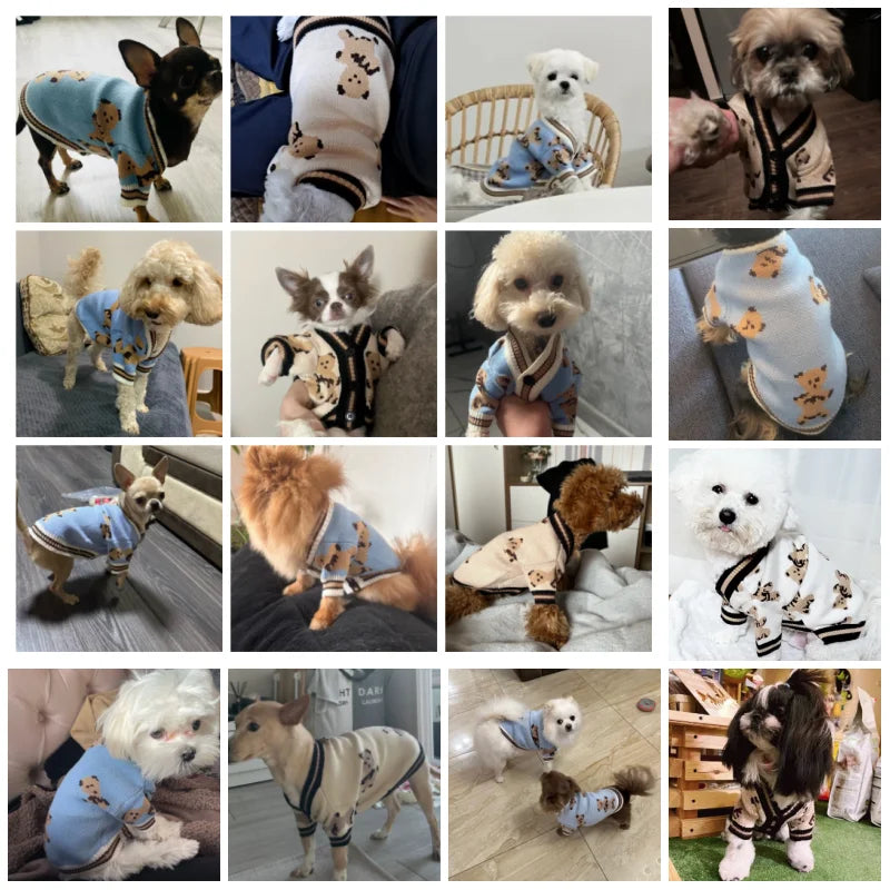 Cute Bear Pet Sweater Autumn Winter Dog Clothes Chihuahua Cardigan Sweaters Puppy Cardigan Cat Dog Costume Bichon Dog Warm Coat