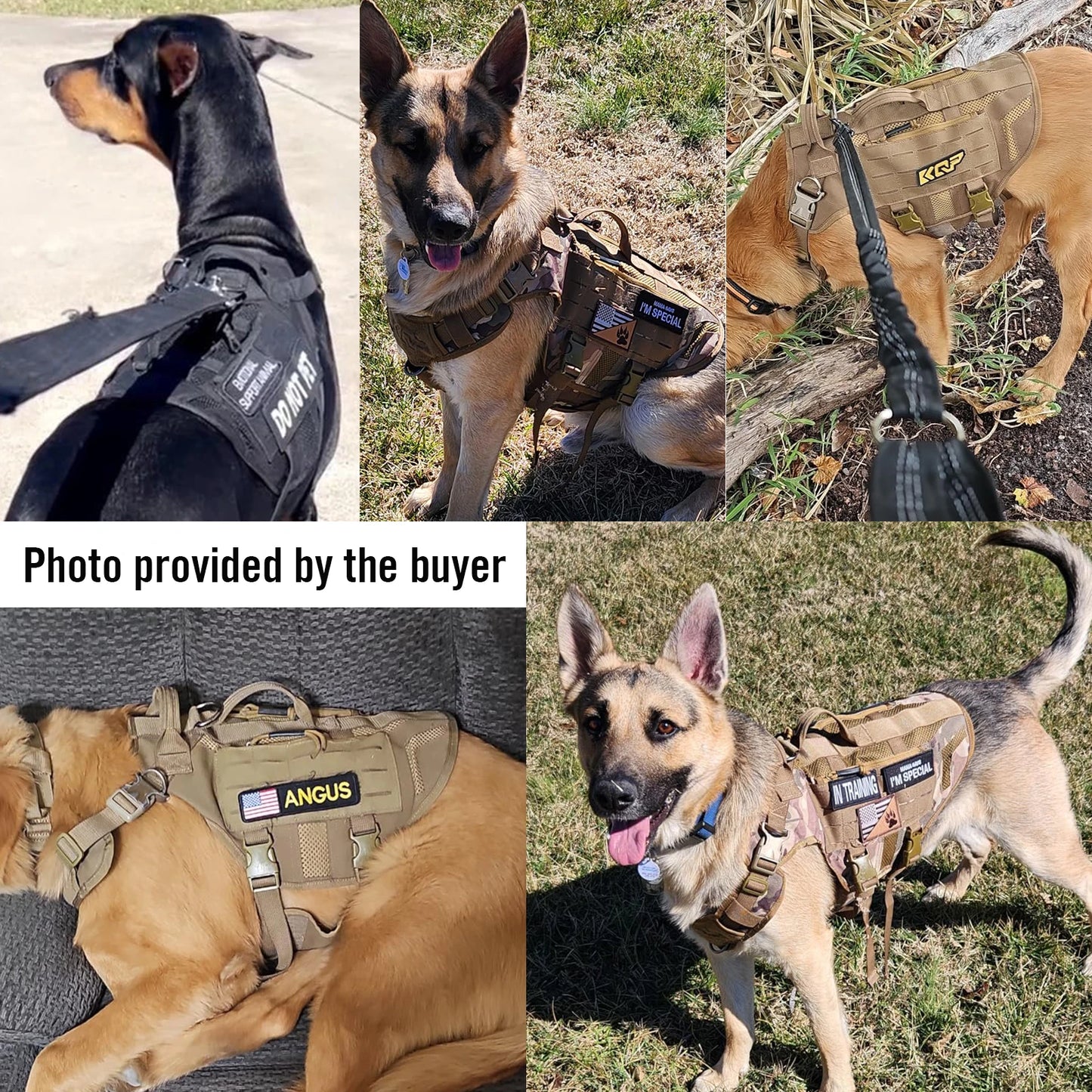 KQP Adjustable Tactical No Pull Dog Harness 1000D Nylon Breathable Mesh MOLLE Metal Buckle Do Not Pet Patch for Medium-Large Dog